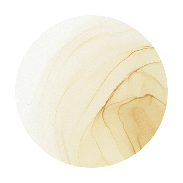 Copic Ink E41