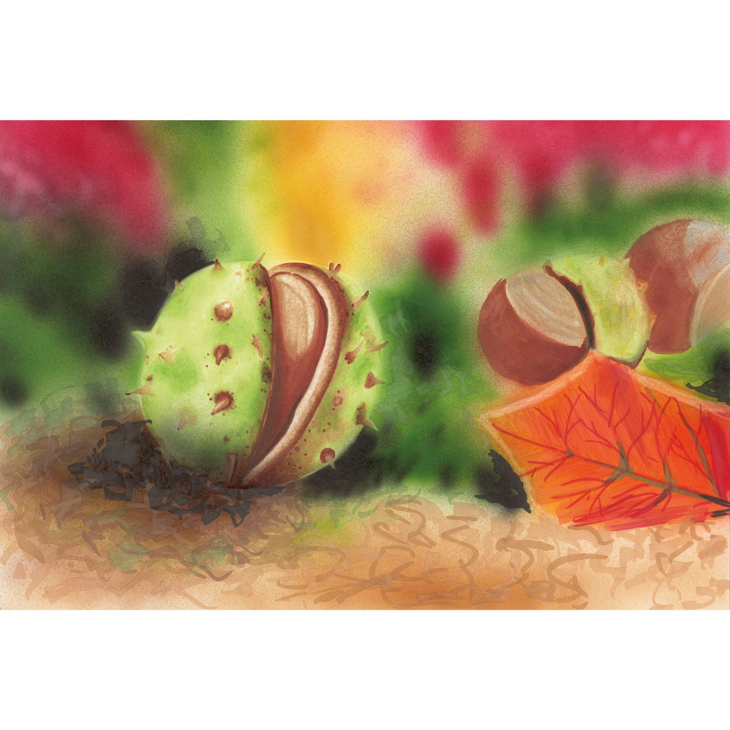 Copic Classic 12 Set Autunno