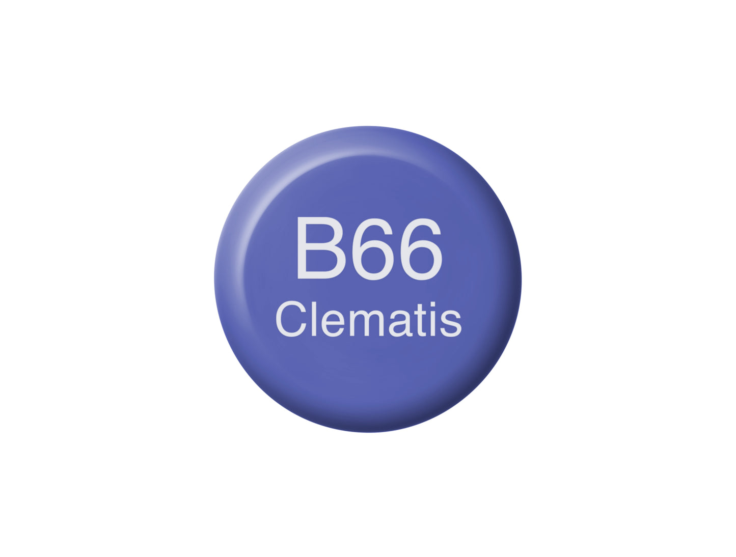 Copic Ink B66
