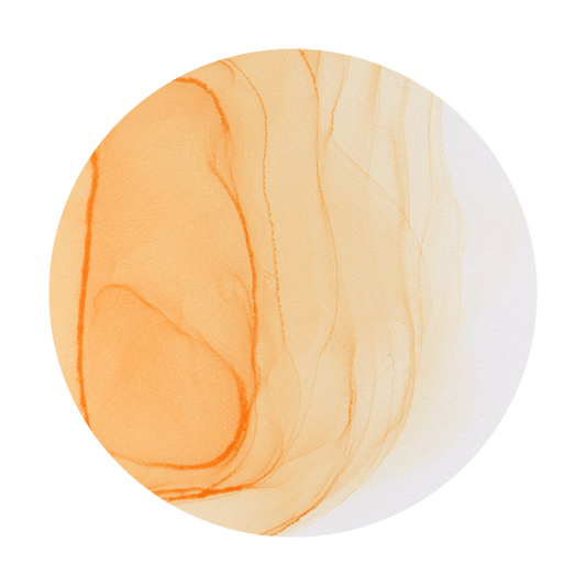 Copic Ink E01