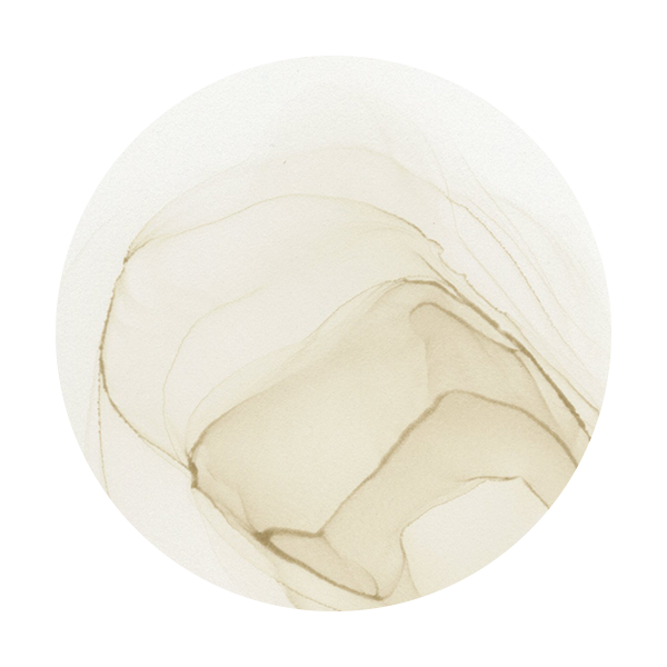 Copic Ink E40