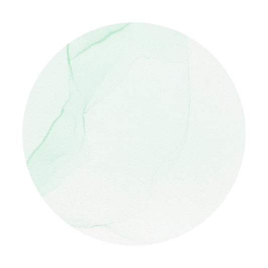 Copic Ink G0000