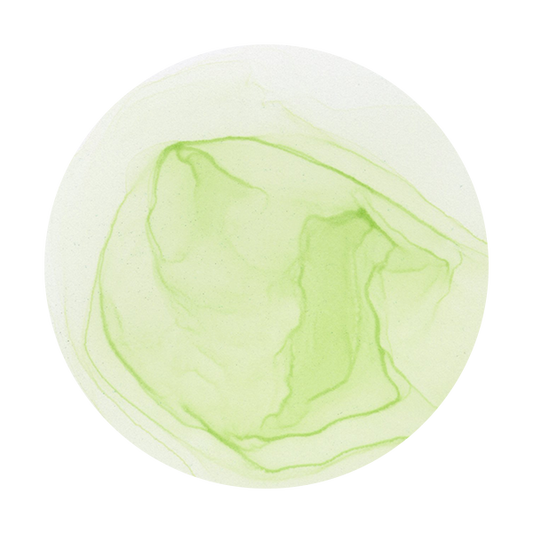 Copic Ink G40