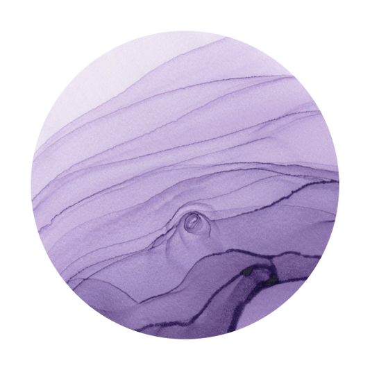 Copic Ink V25