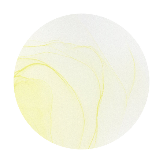 Copic Ink YG0000