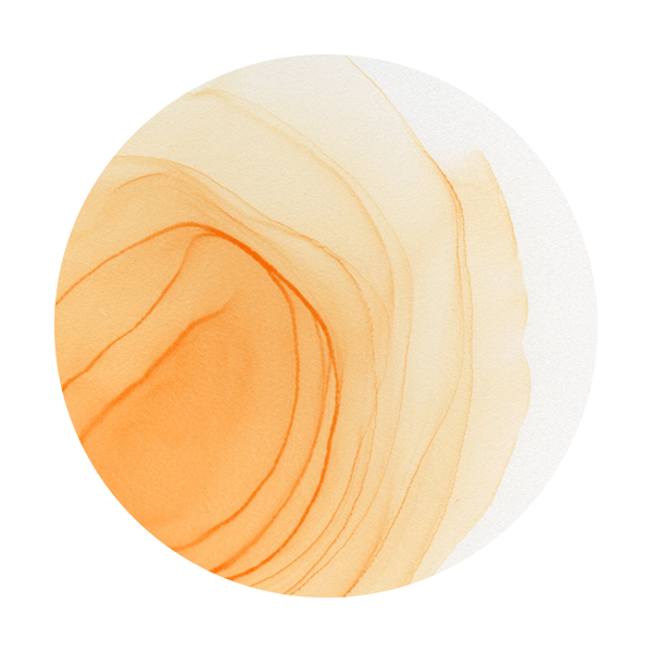 Copic Ink YR01