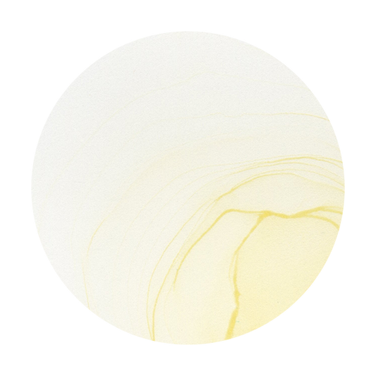 Copic Ink YR30