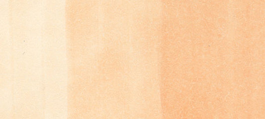 Copic Marker E53