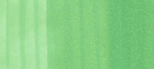 Copic Marker G02